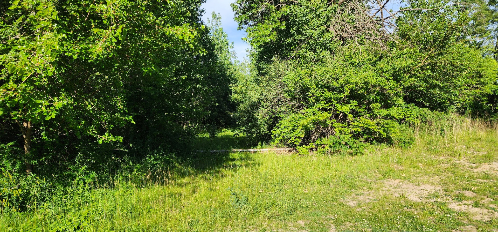 574 Caleb Road Braidwood IL 60408