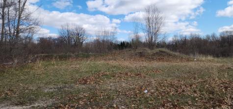 574 Caleb Road Braidwood IL 60408