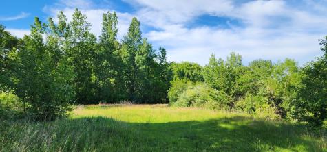 574 Caleb Road Braidwood IL 60408