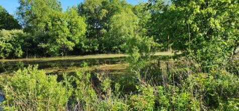 574 Caleb Road Braidwood IL 60408