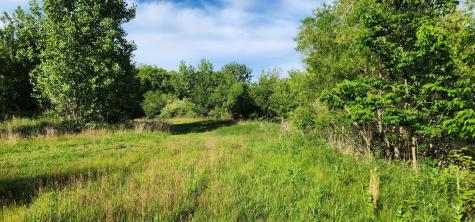 574 Caleb Road Braidwood IL 60408