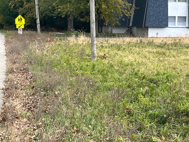 Lot 1 Reckinger Road Aurora IL 60505