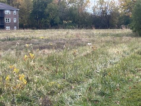 Lot 1 Reckinger Road Aurora IL 60505