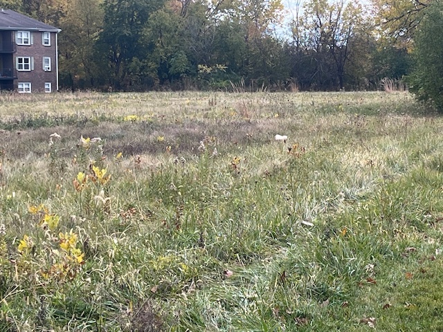 Lot 1 Reckinger Road Aurora IL 60505