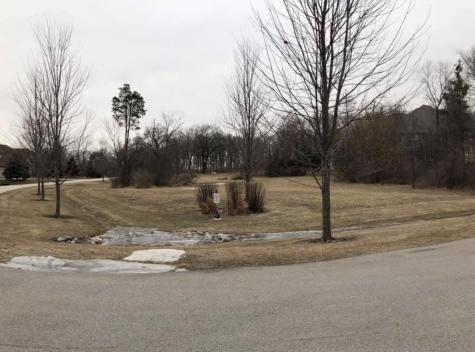16340 South Alberta Court Homer Glen IL 60491