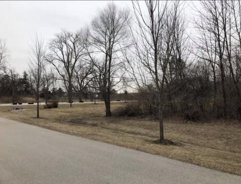16340 South Alberta Court Homer Glen IL 60491