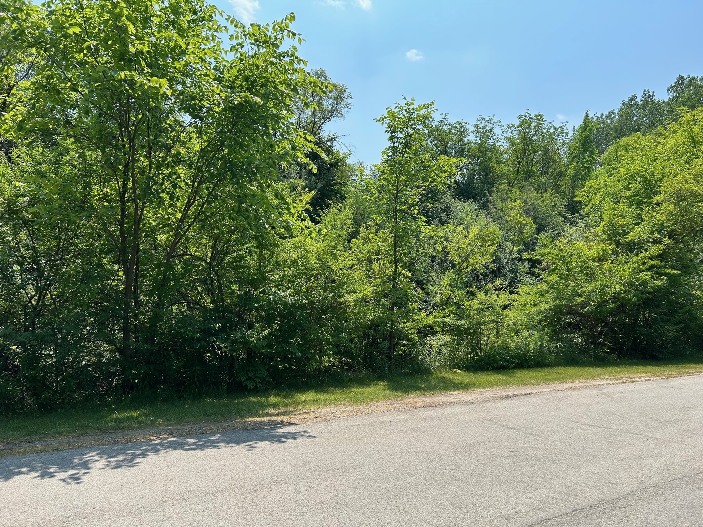 Lot Foster Avenue Roselle IL 60172