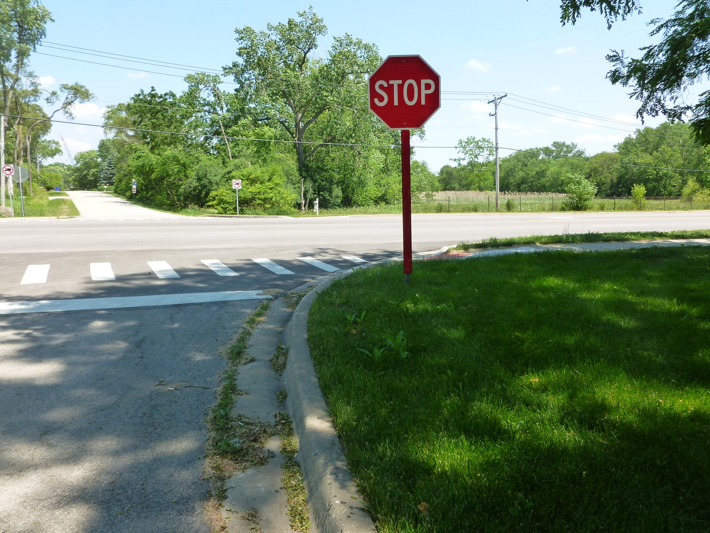 Lot Foster Avenue Roselle IL 60172
