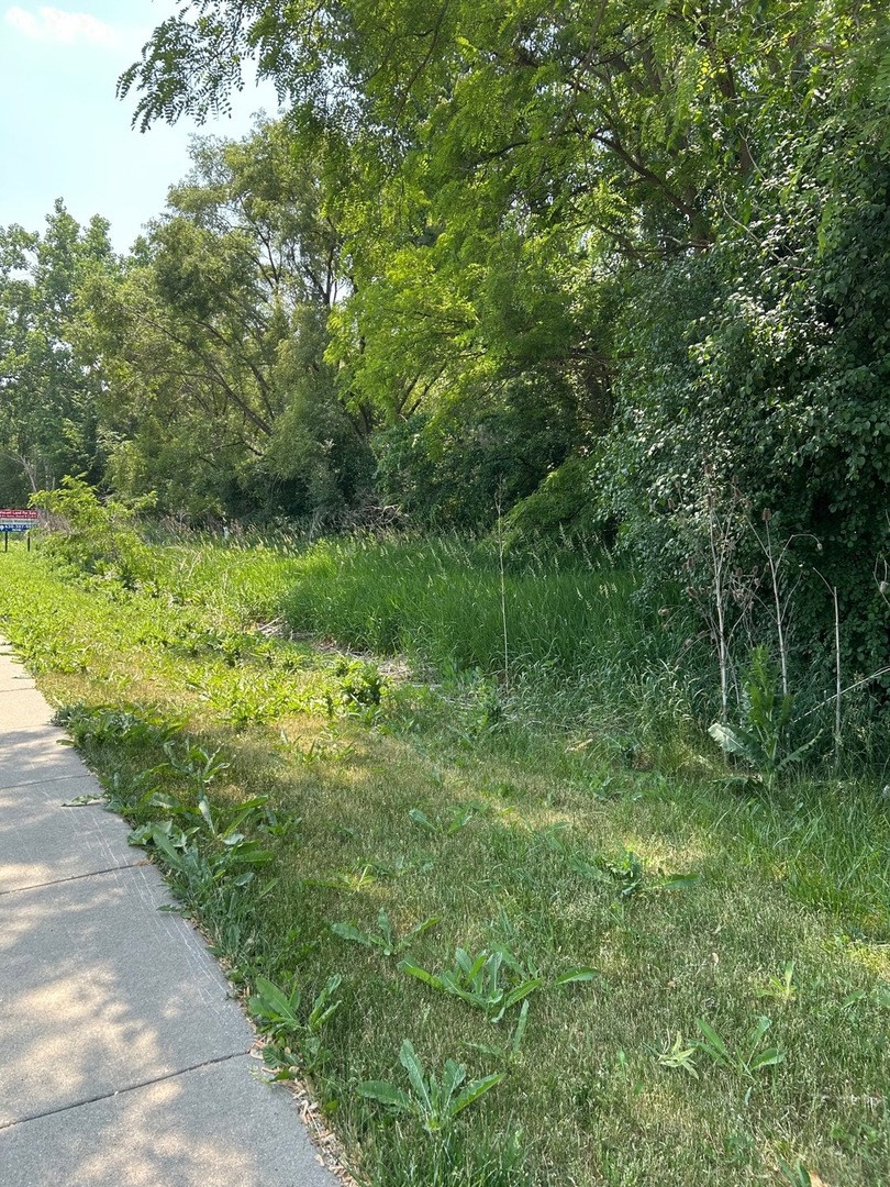 Lot Foster Avenue Roselle IL 60172