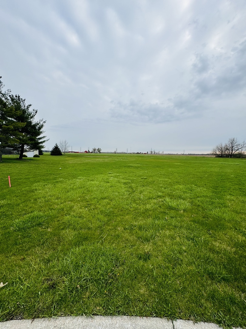 1039 Country Court Crete IL 60417
