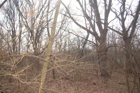 35W247 Fox River Drive St. Charles IL 60174