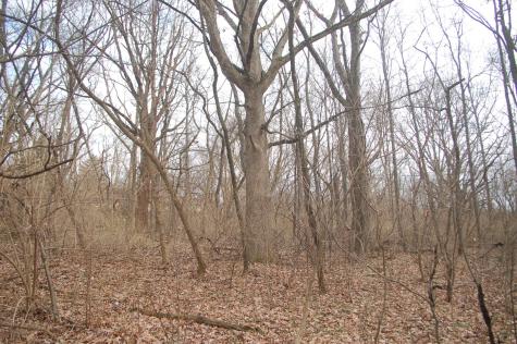35W247 Fox River Drive St. Charles IL 60174