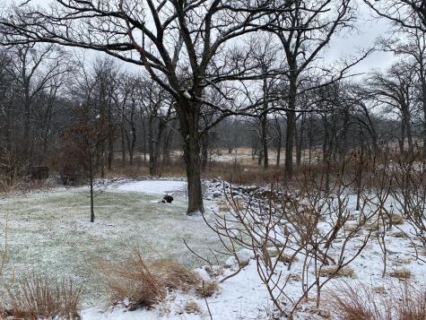 1480 West Longwood Drive Woodstock IL 60098
