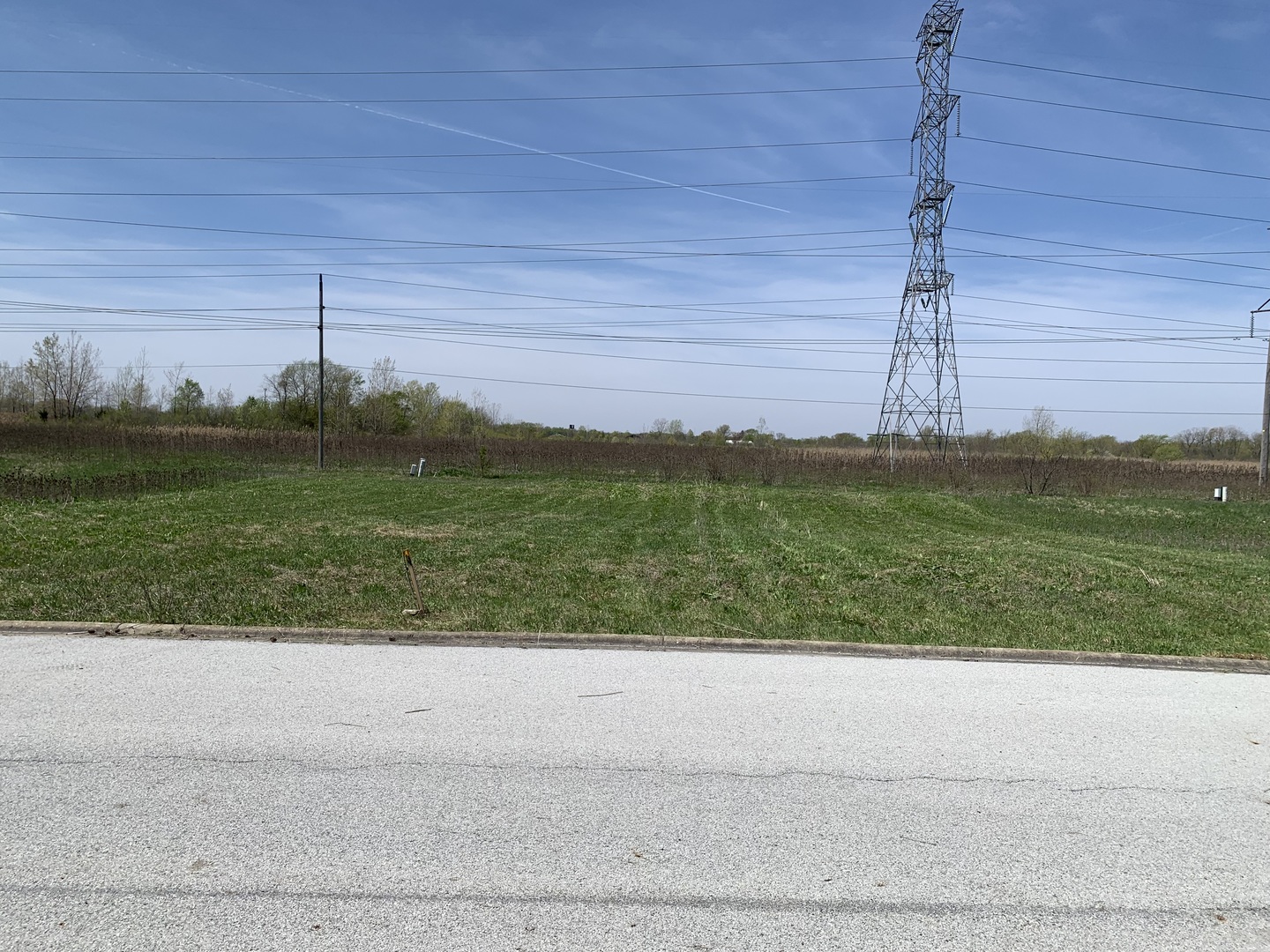 19676 Ambry Circle Lynwood IL 60411
