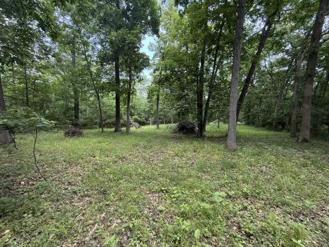 Lot 235 Lake Thunderbird Drive Tiskilwa IL 61368