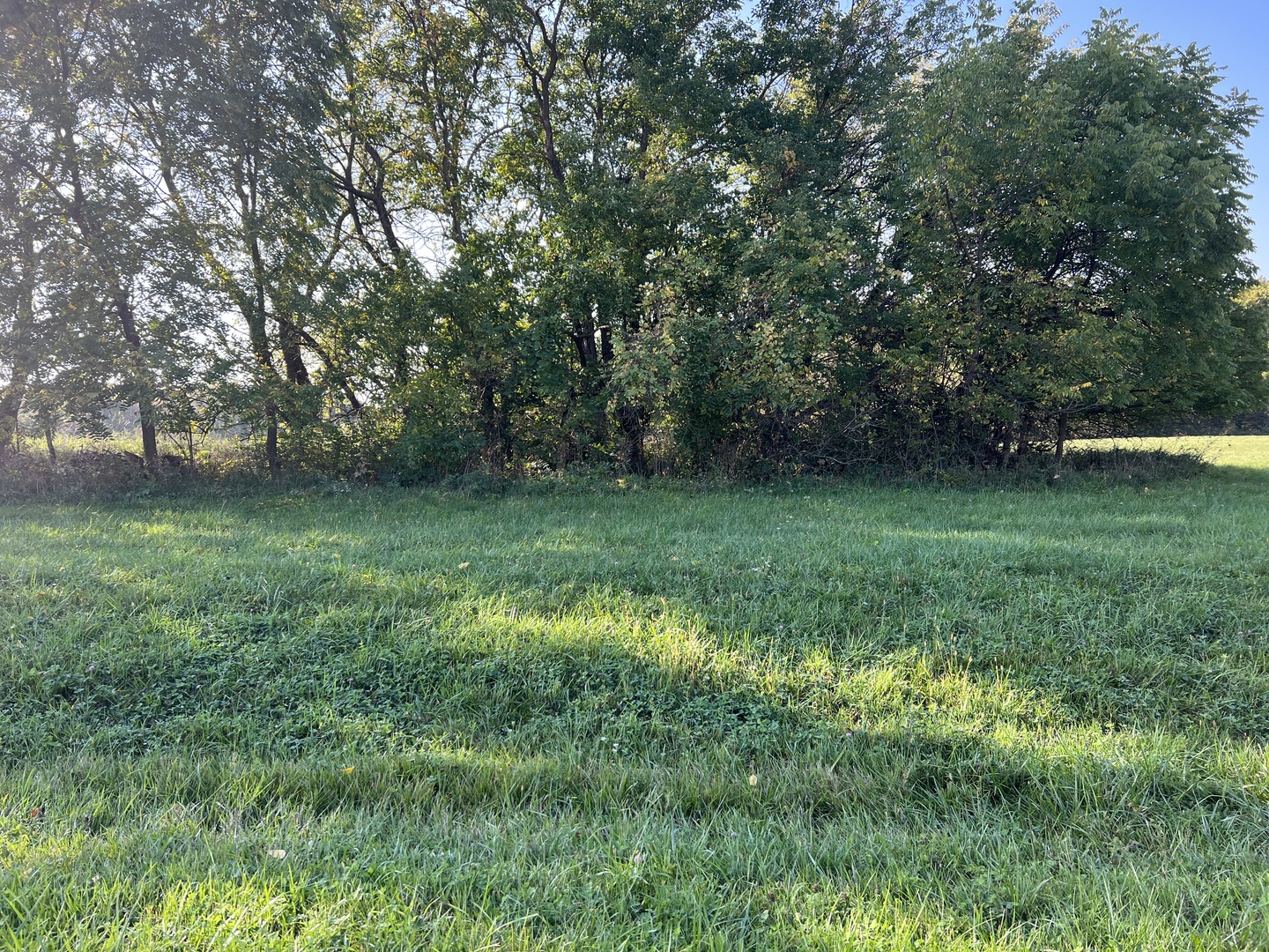 3-521 Shady Lane Lake Carroll IL 61046