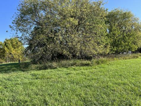3-521 Shady Lane Lake Carroll IL 61046