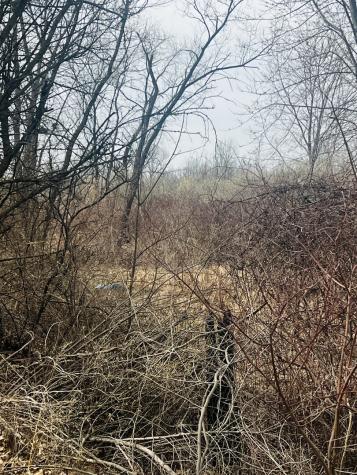 0000 15000 Road Pembroke Twp IL 60958