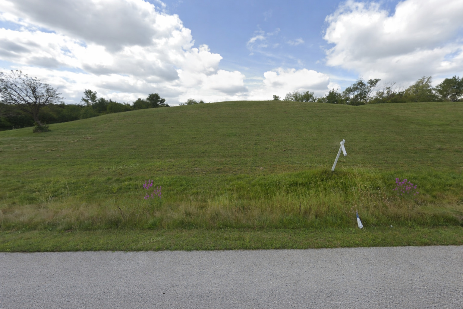 39600 Orchard Bluff Lane Wadsworth IL 60083