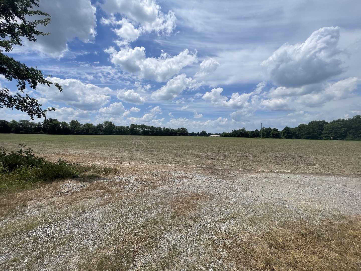 TBD Old Bainbridge Road Marion IL 62959