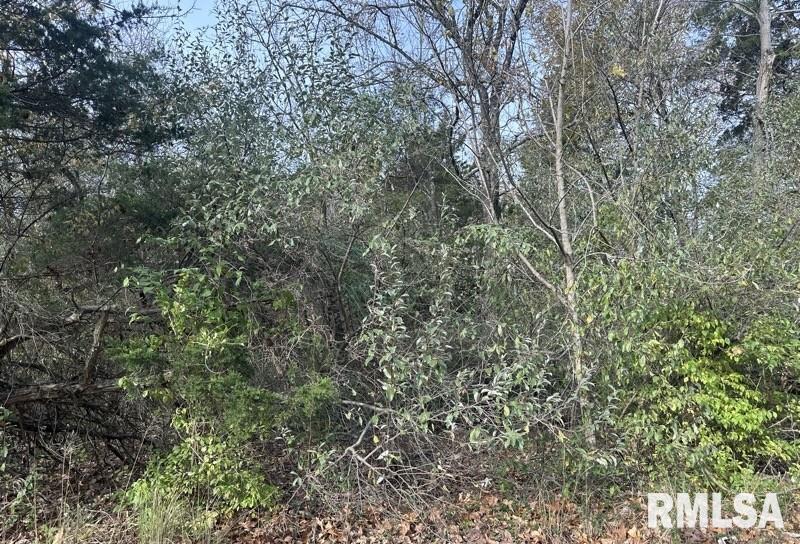 Lot 177 Sycamore Street Goreville IL 62939