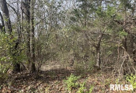 Lot 177 Sycamore Street Goreville IL 62939