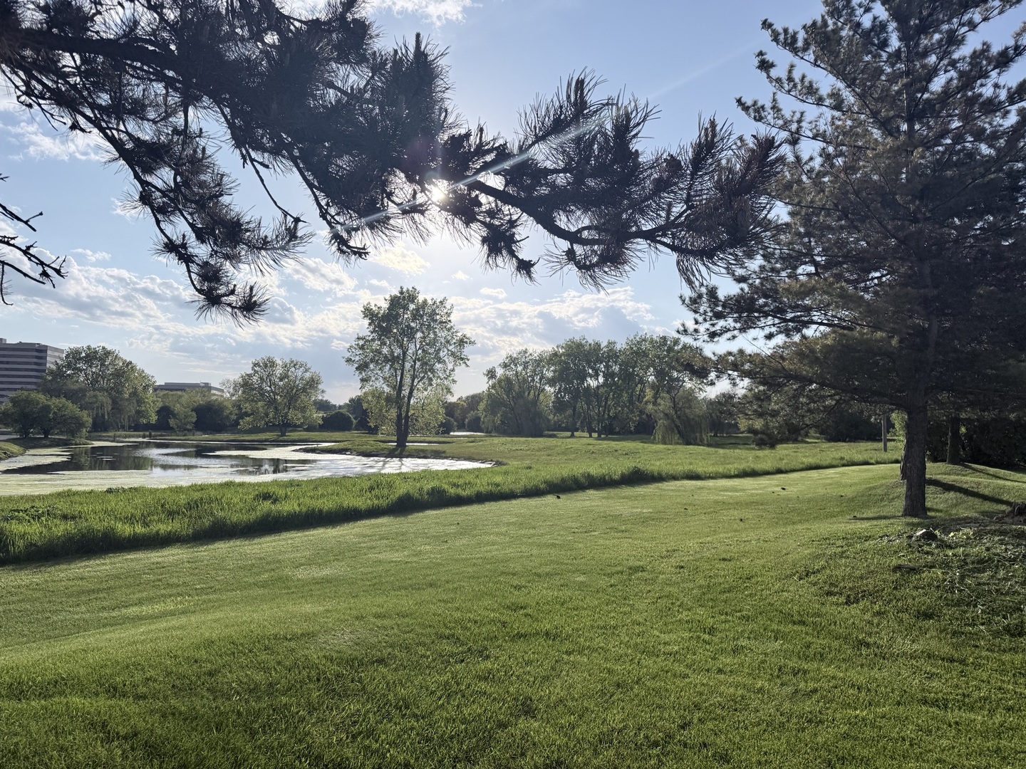 1S476 Renaissance Boulevard Oak Brook IL 60523