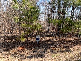 Lot 244 Parrish Ridge Lane Goreville IL 62939