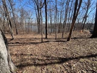 Lot 244 Parrish Ridge Lane Goreville IL 62939
