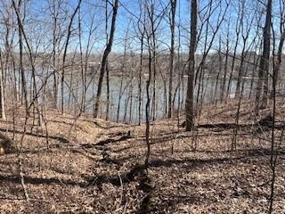 Lot 244 Parrish Ridge Lane Goreville IL 62939