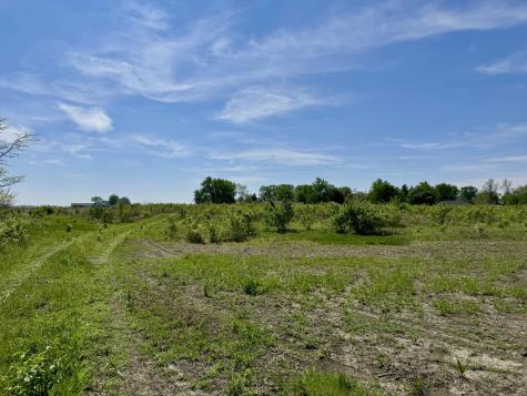 000 Kankakee Street Reddick IL 60961