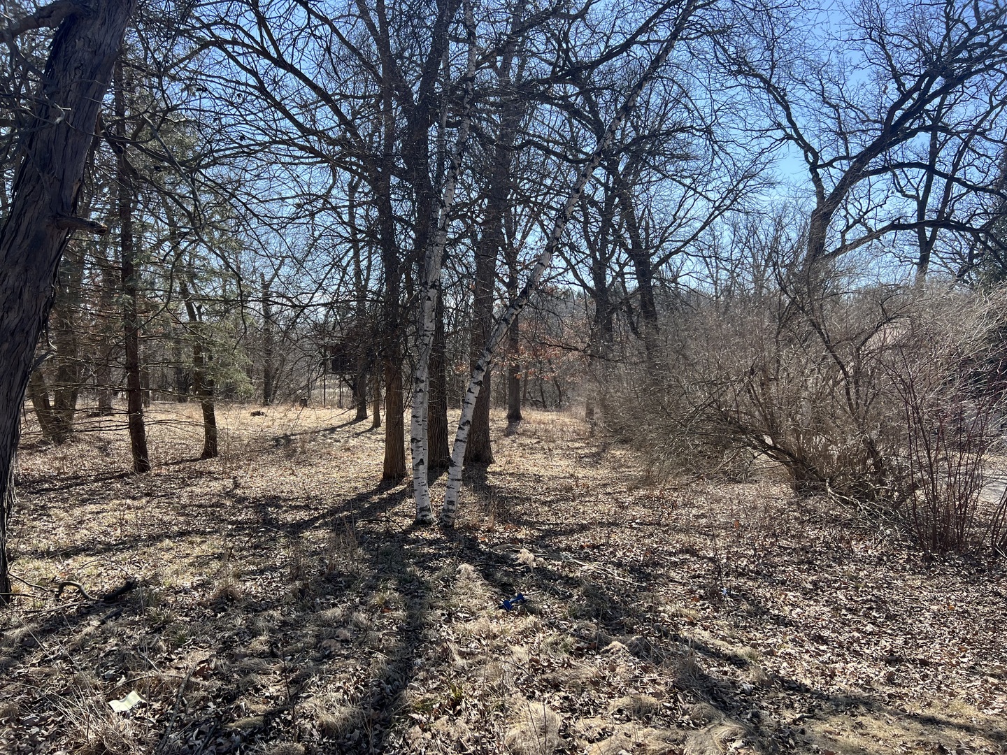 16524 Grove Creek Circle Pecatonica IL 61063