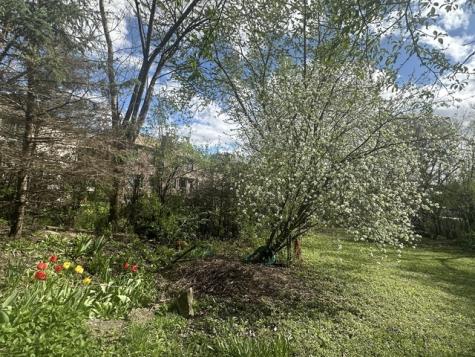 309 Landmeier Road Elk Grove Village IL 60007