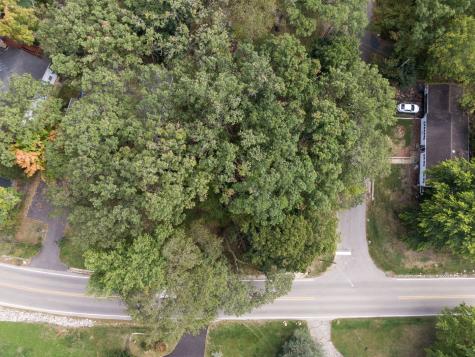 Lot 8 Elmwood Drive Carpentersville IL 60110