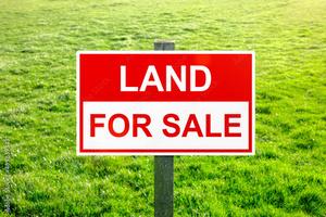 531 156TH Street Calumet City IL 60409