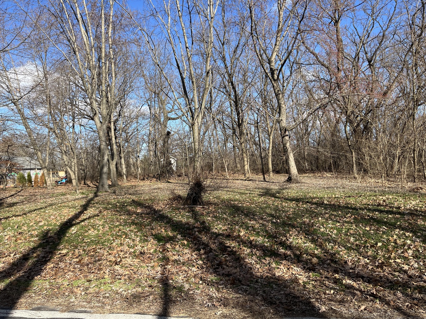 12421 South 83rd Avenue Palos Park IL 60464
