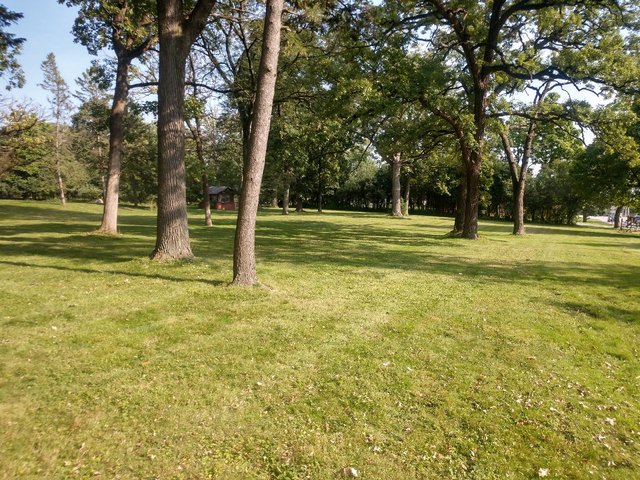 3403 York Road Oak Brook IL 60523