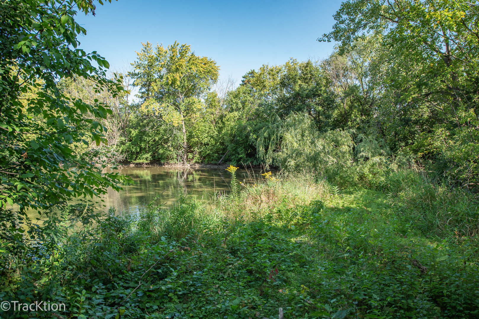 650 East Van Buren Street Villa Park IL 60181