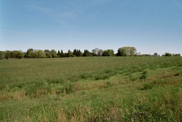 2010 Maritime Lane Woodstock IL 60098