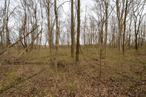 Lot 9 Raintree Woods Drive Urbana IL 61802