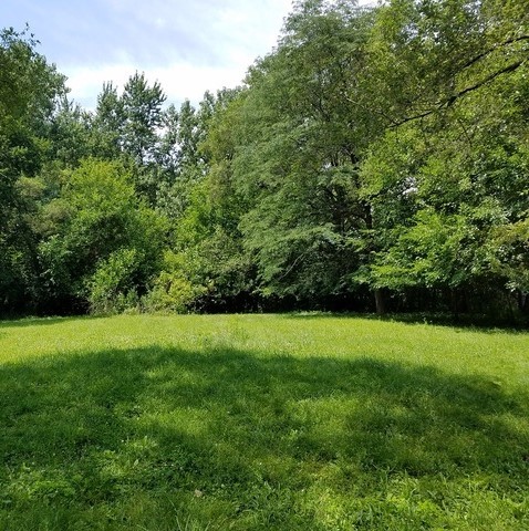 Chatham Avenue Addison IL 60101