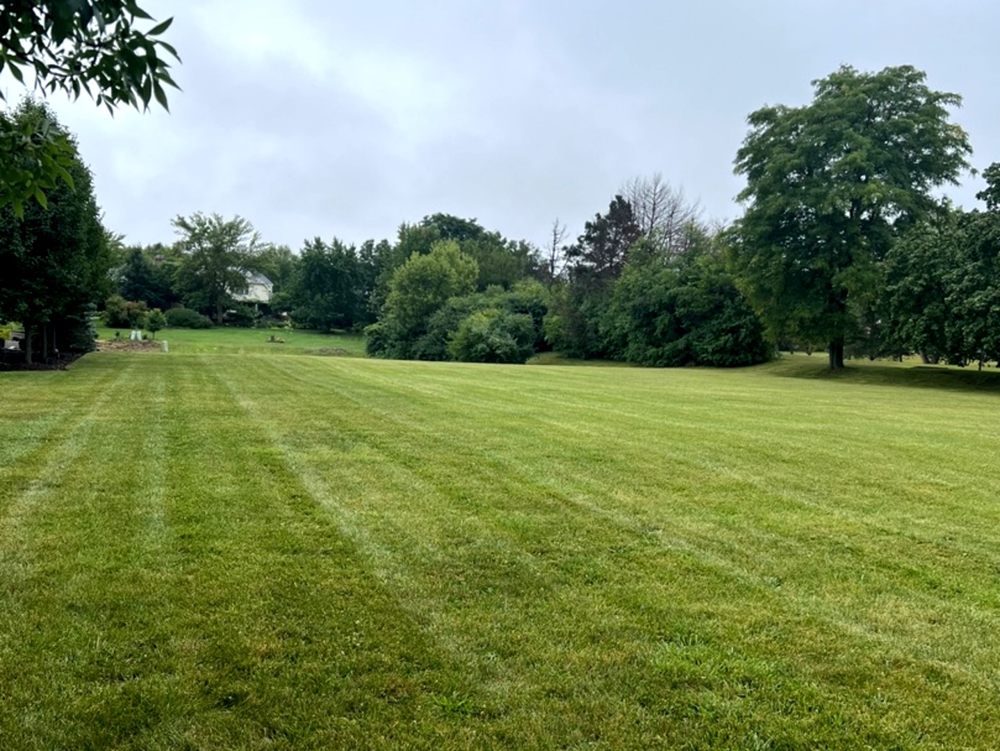 2919 35TH Street Oak Brook IL 60523