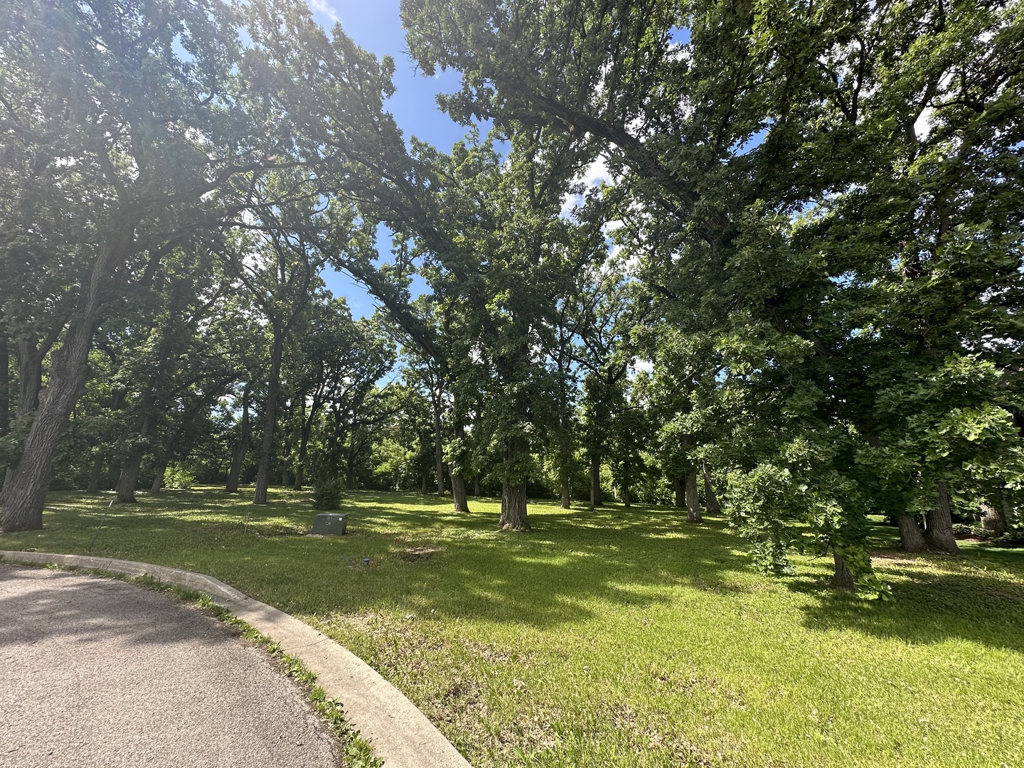 12390 Oakcrest Drive Huntley IL 60142