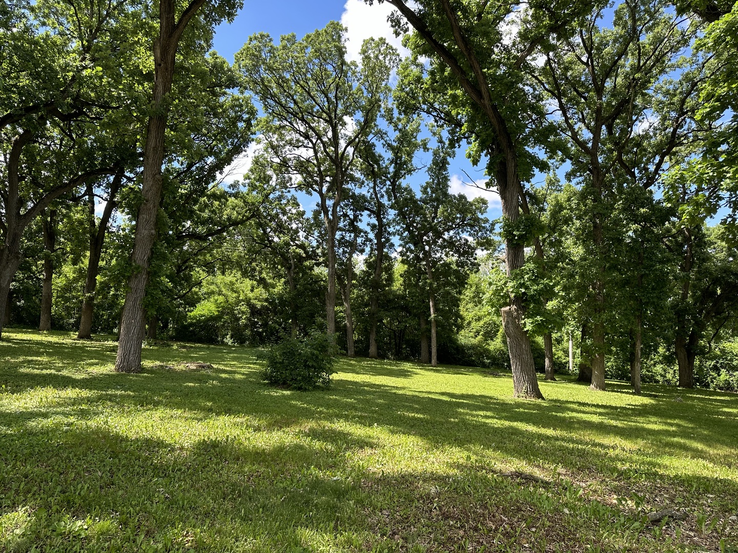 12390 Oakcrest Drive Huntley IL 60142