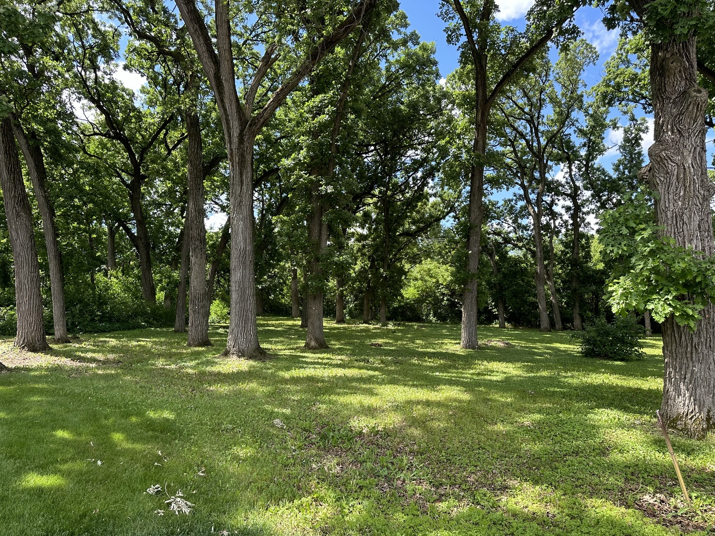 12390 Oakcrest Drive Huntley IL 60142