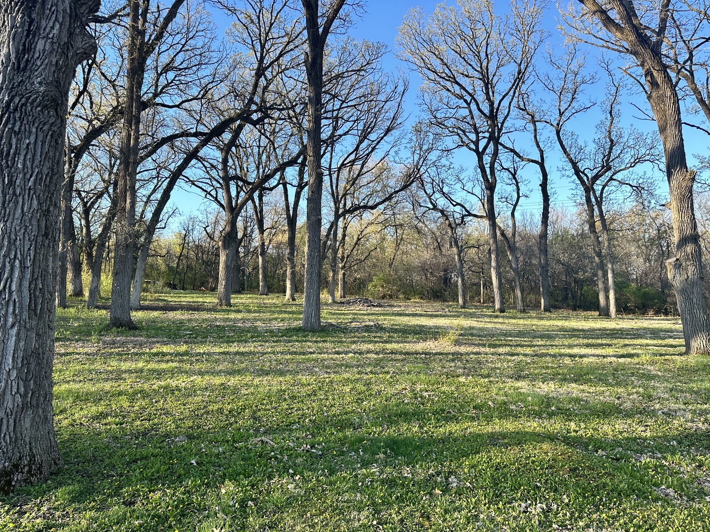 12390 Oakcrest Drive Huntley IL 60142