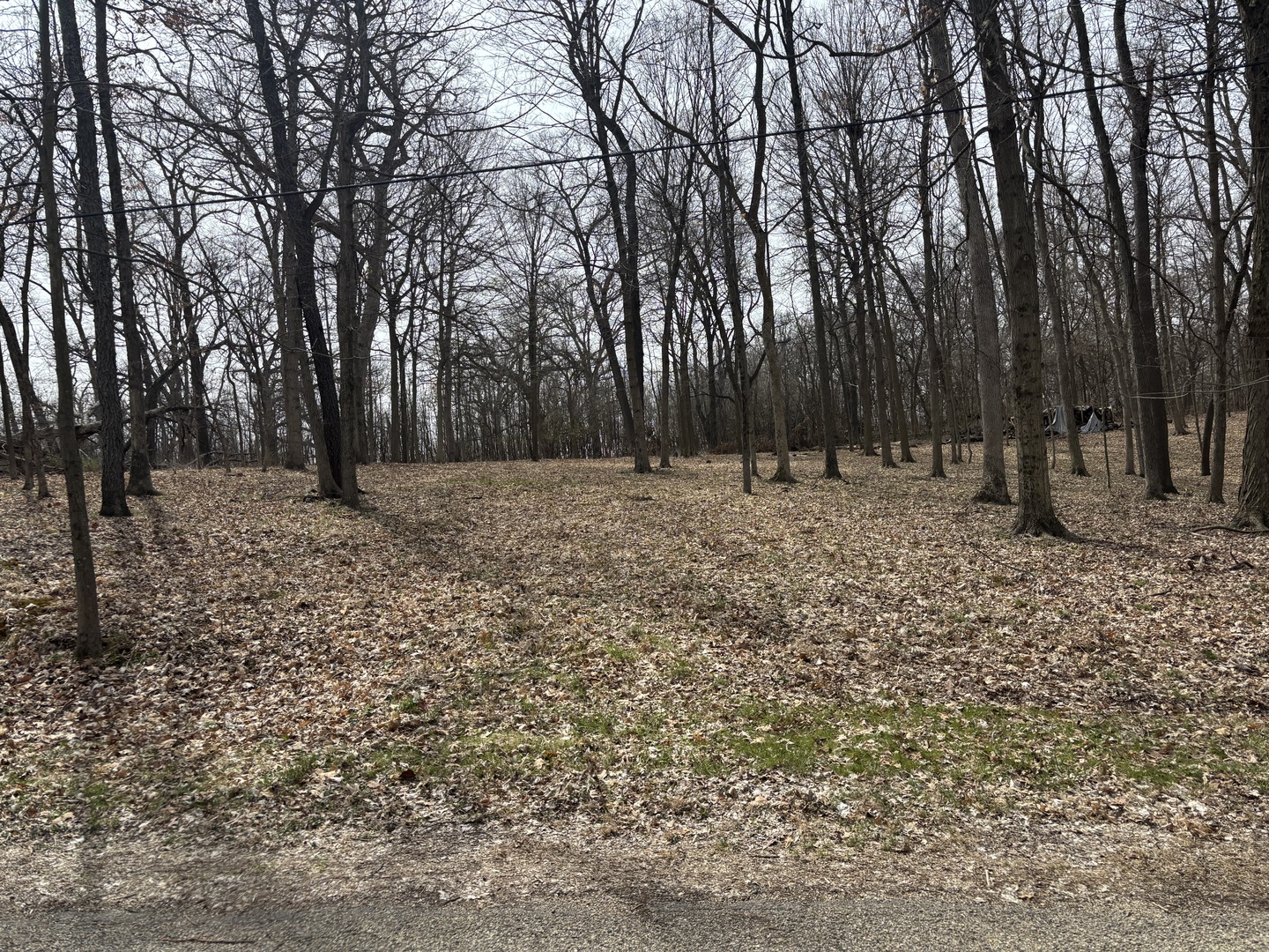 1729/1730/1731 Tanglewood Drive Varna IL 61375