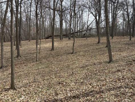 1729/1730/1731 Tanglewood Drive Varna IL 61375