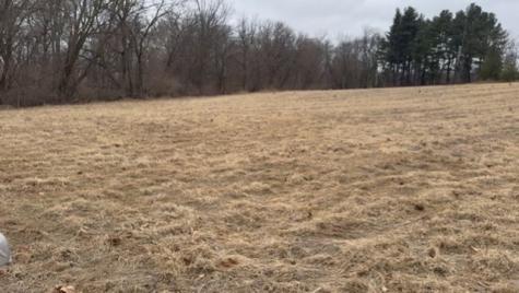 Shaw Road Compton IL 61318