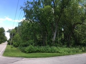 4601 Winchester Avenue Lisle IL 60532